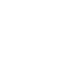 Customization Expertise
